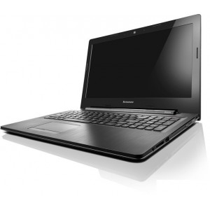 Ноутбук Lenovo G50-45 [80E301DDPB]